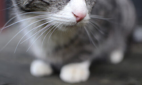 爱游戏在线登录-CBA球队提升年轻球员培养力度，cba球队训练