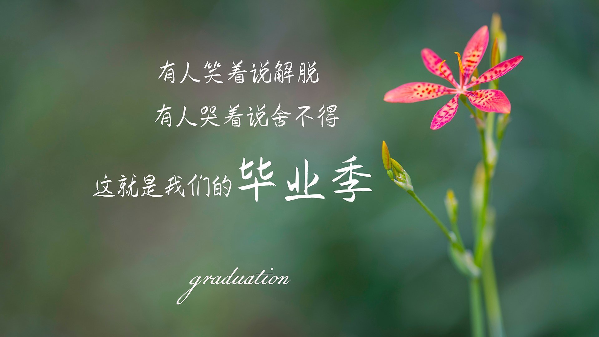 CBA联赛拓展球迷互动新形式，cba联赛如火如荼,随着比赛场次的密集