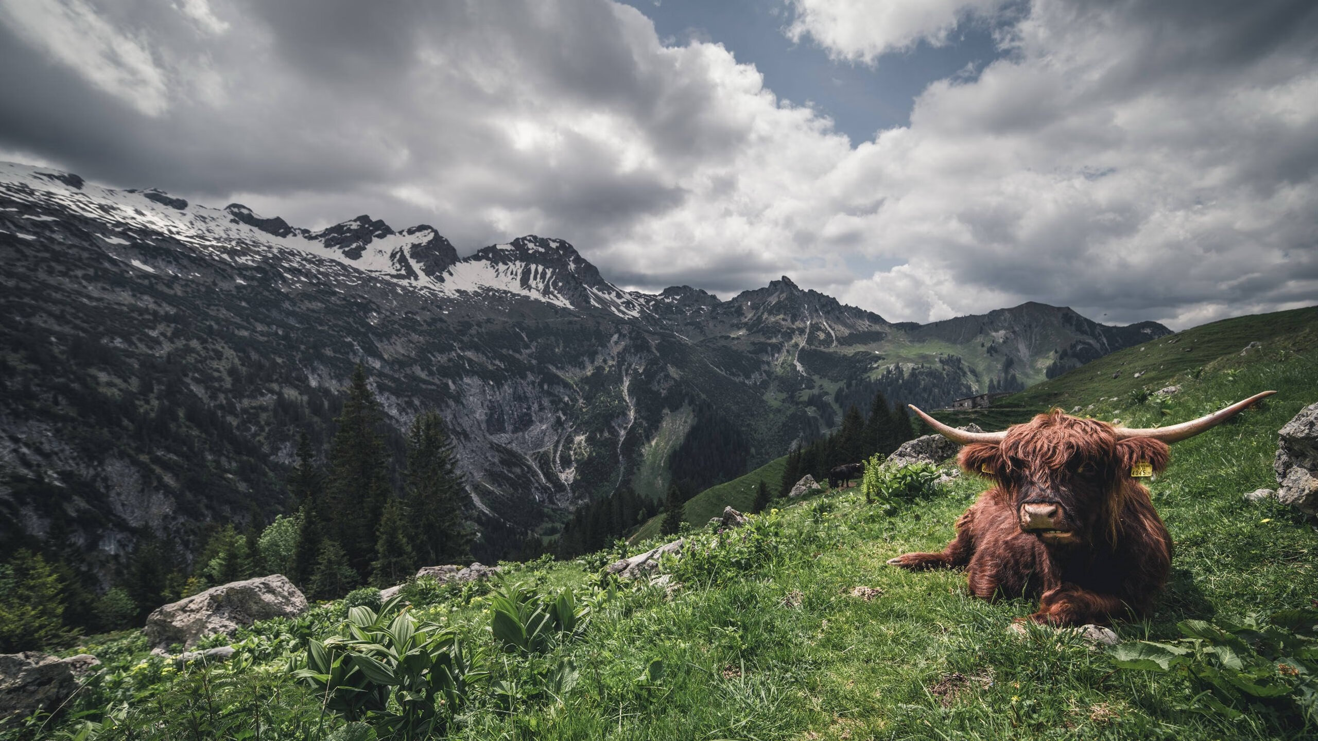新闻中心再获科技创新荣誉,科技创新新闻稿