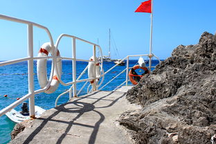 爱游戏ayx-海湾者未来青训体系逐渐完善，海湾技术