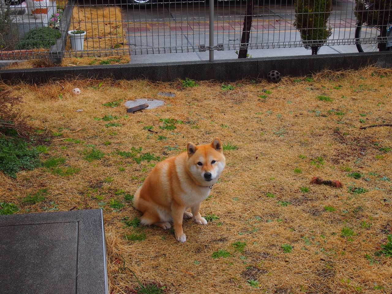 自由搏击赛事注重选手文化素养展示，自由搏击参赛